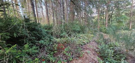 10115 Edgewood Drive Anderson Island WA 98303