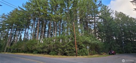 10115 Edgewood Drive Anderson Island WA 98303