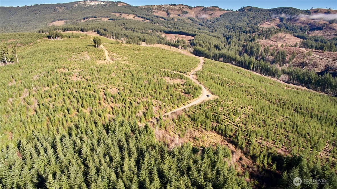 4 NE Jones Creek Road Camas WA 98607