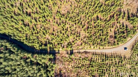 4 NE Jones Creek Road Camas WA 98607