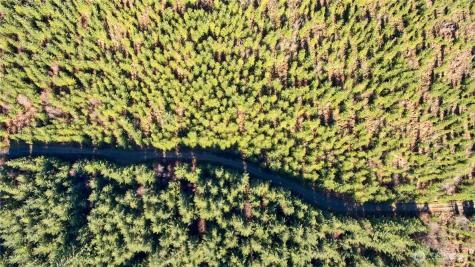 4 NE Jones Creek Road Camas WA 98607