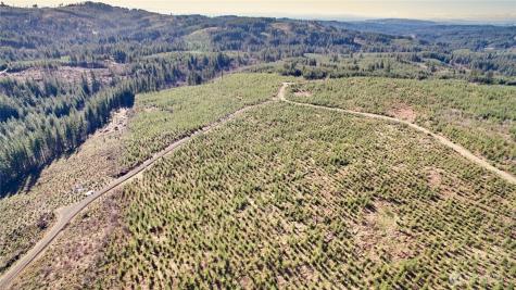4 NE Jones Creek Road Camas WA 98607