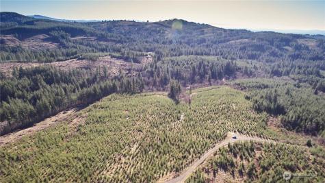 4 NE Jones Creek Road Camas WA 98607