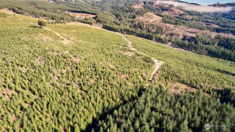 4 NE Jones Creek Road Camas WA 98607