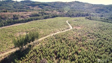4 NE Jones Creek Road Camas WA 98607