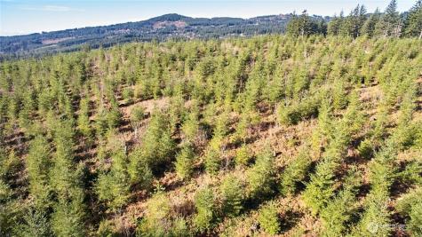4 NE Jones Creek Road Camas WA 98607