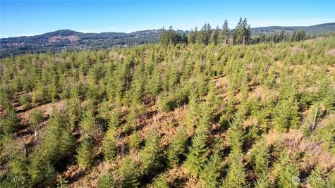4 NE Jones Creek Road Camas WA 98607