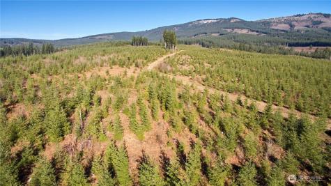 4 NE Jones Creek Road Camas WA 98607