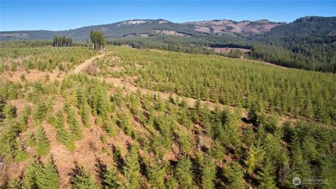4 NE Jones Creek Road Camas WA 98607
