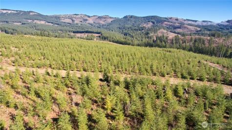 4 NE Jones Creek Road Camas WA 98607