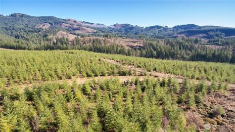 4 NE Jones Creek Road Camas WA 98607