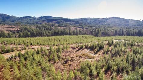 4 NE Jones Creek Road Camas WA 98607