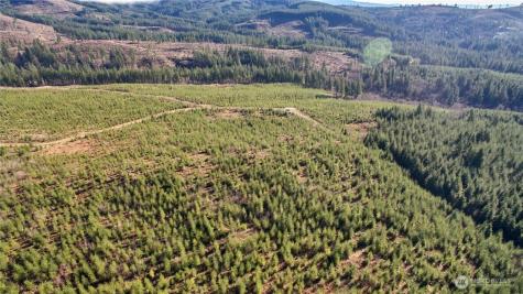 4 NE Jones Creek Road Camas WA 98607
