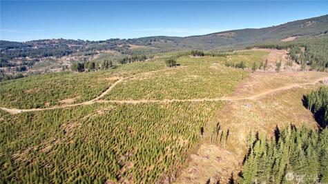 4 NE Jones Creek Road Camas WA 98607