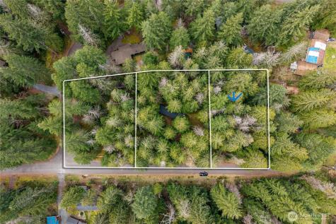 56510 383rd Avenue Court E Ashford WA 98304