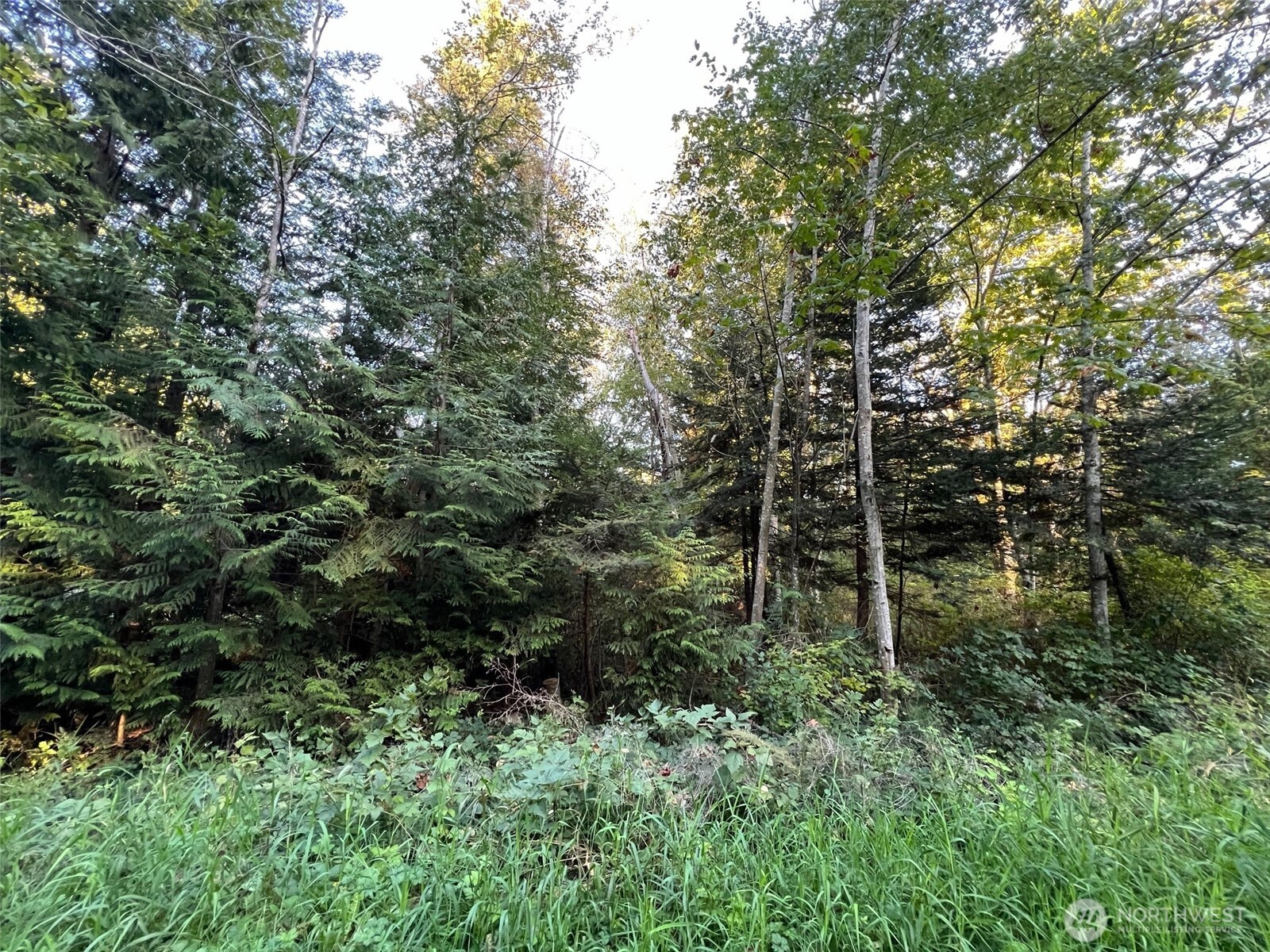 10 Rex Street Point Roberts WA 98281