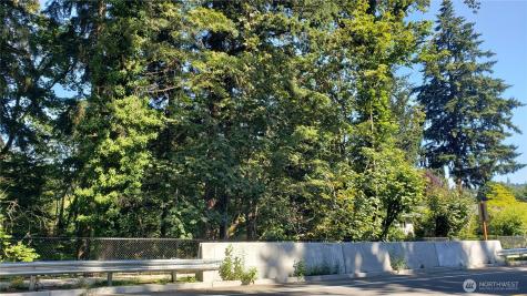 120 SE May Creek Park Drive Newcastle WA 98059