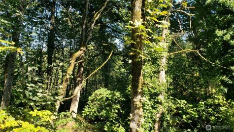 120 SE May Creek Park Drive Newcastle WA 98059