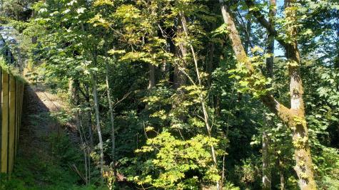 120 SE May Creek Park Drive Newcastle WA 98059