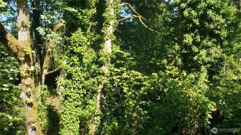 120 SE May Creek Park Drive Newcastle WA 98059