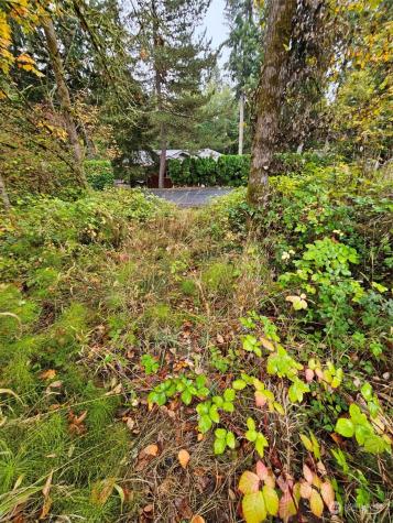 1281 State Route 505 Toledo WA 98591
