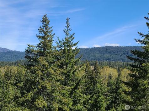 39 Gold Leaf Lane Cle Elum WA 98922