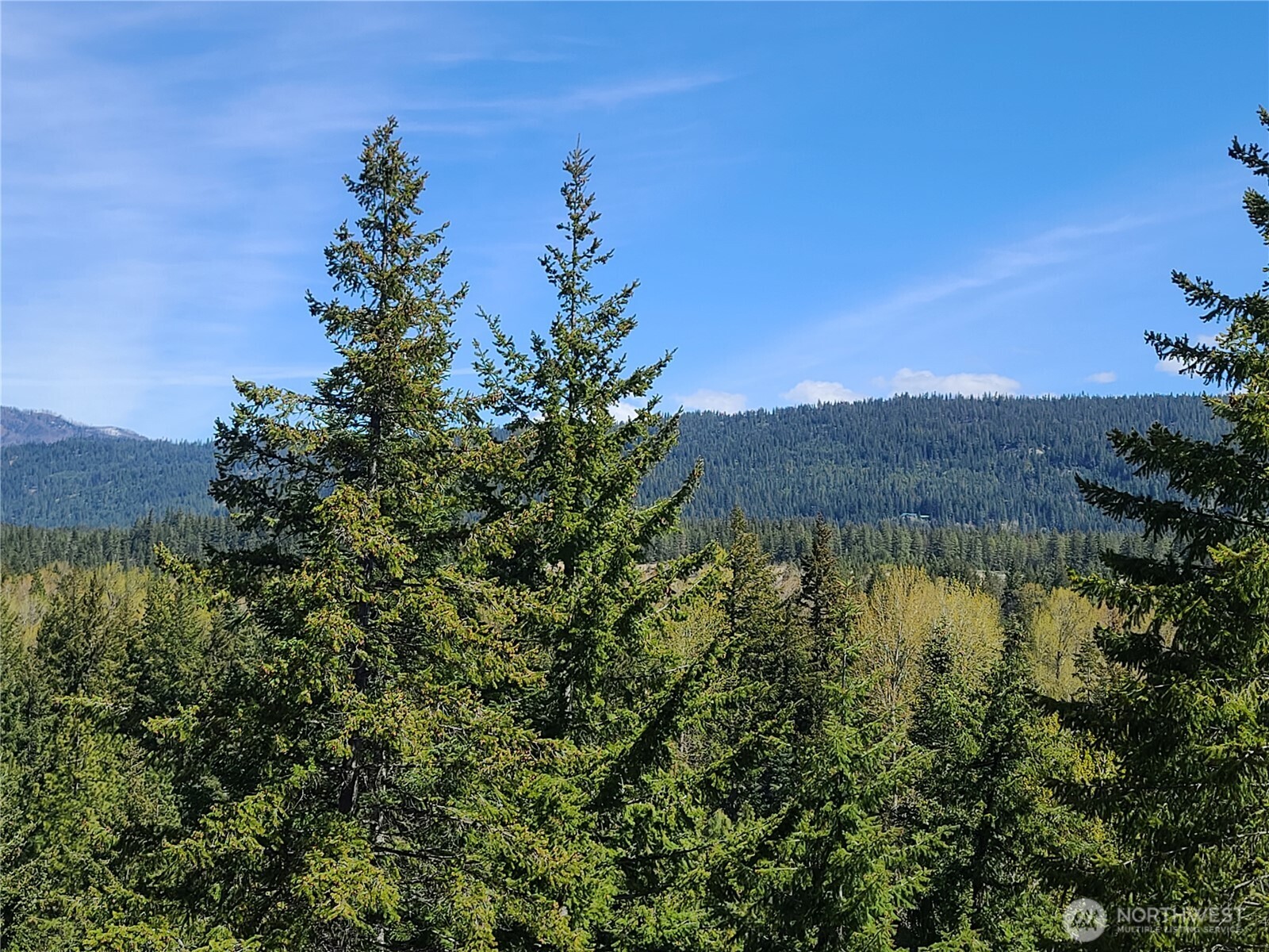 39 Gold Leaf Lane Cle Elum WA 98922