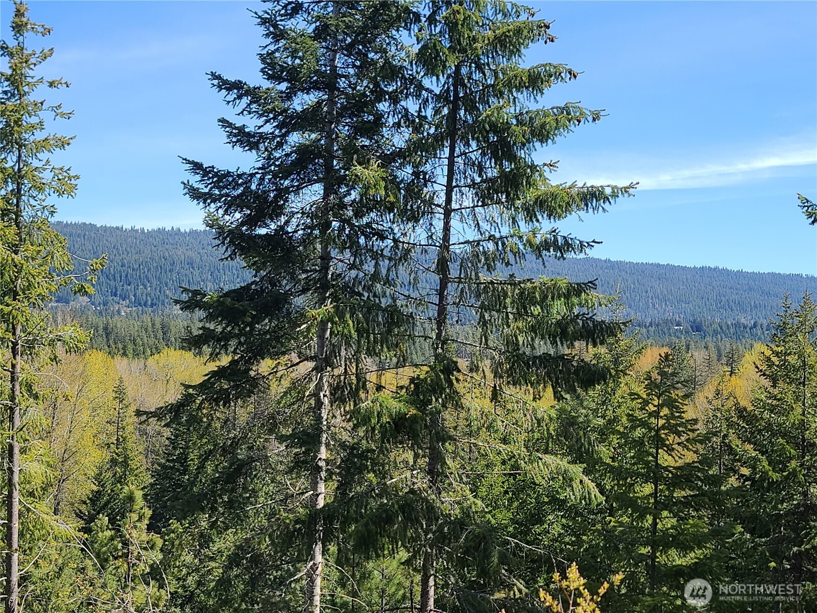 39 Gold Leaf Lane Cle Elum WA 98922