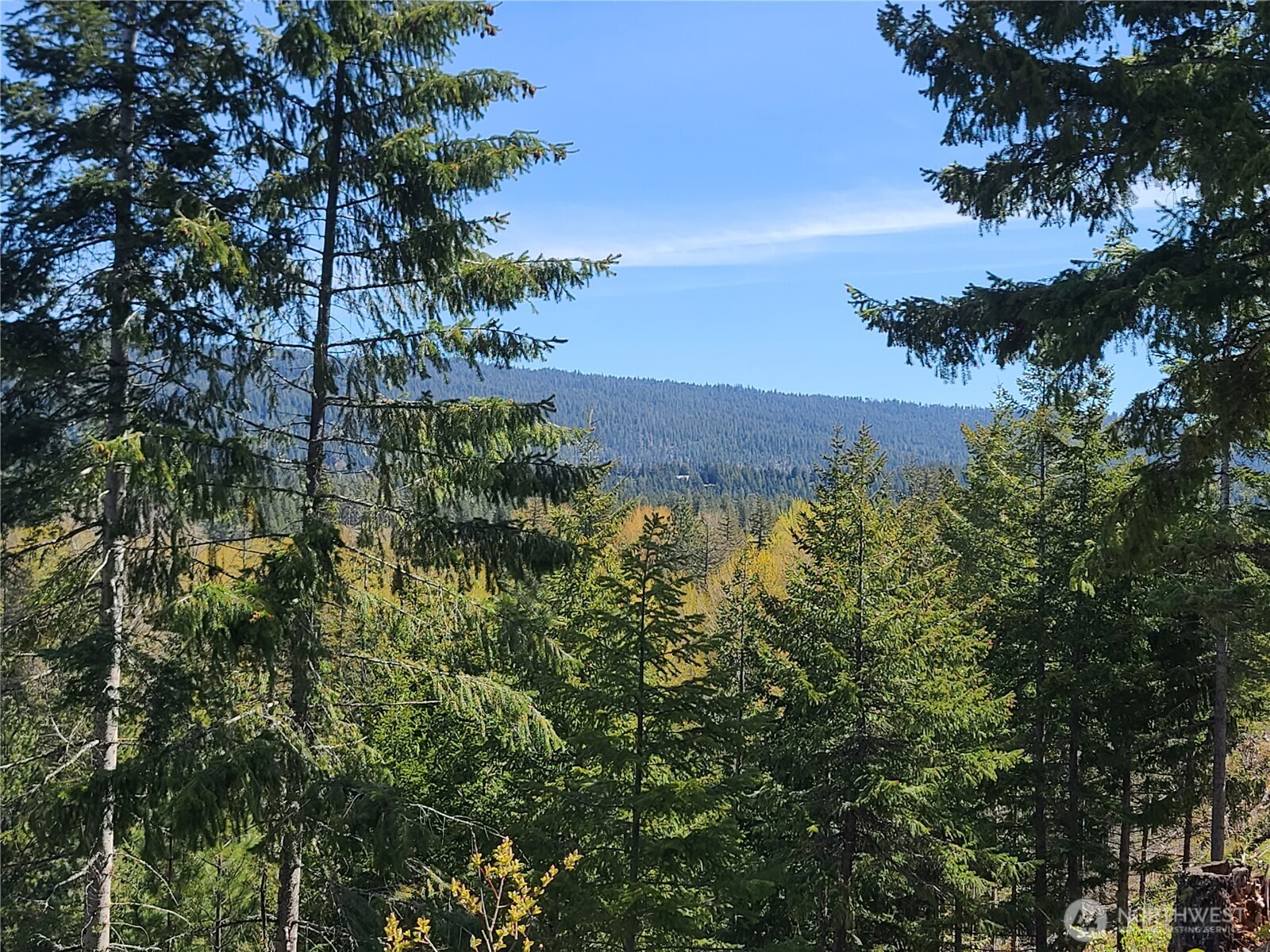 39 Gold Leaf Lane Cle Elum WA 98922