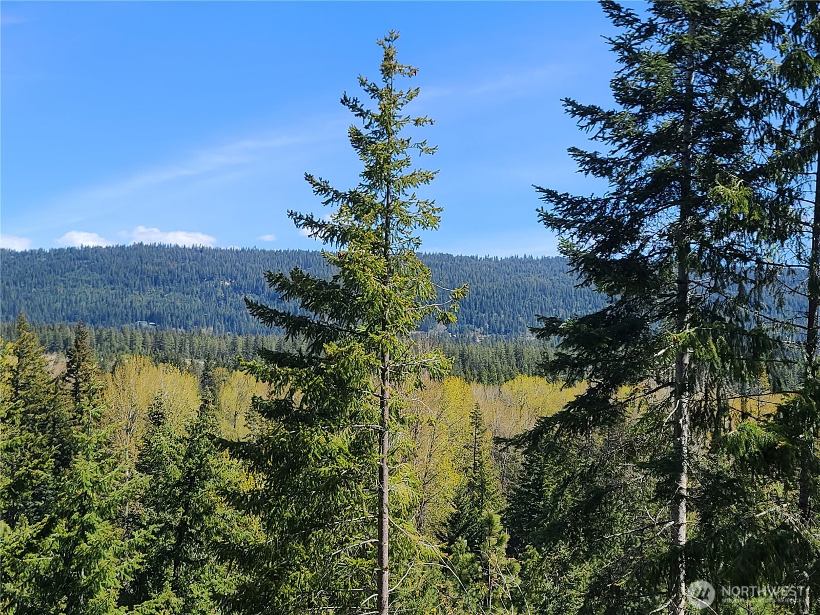 39 Gold Leaf Lane Cle Elum WA 98922