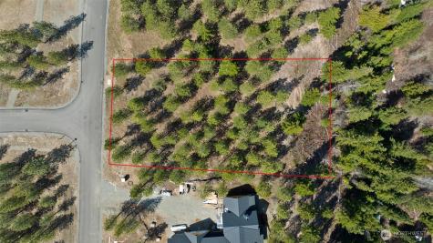 39 Gold Leaf Lane Cle Elum WA 98922