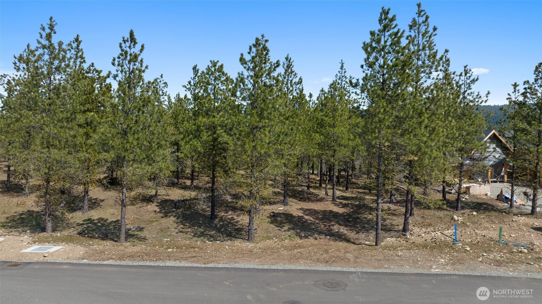 39 Gold Leaf Lane Cle Elum WA 98922