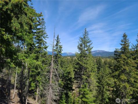 39 Gold Leaf Lane Cle Elum WA 98922