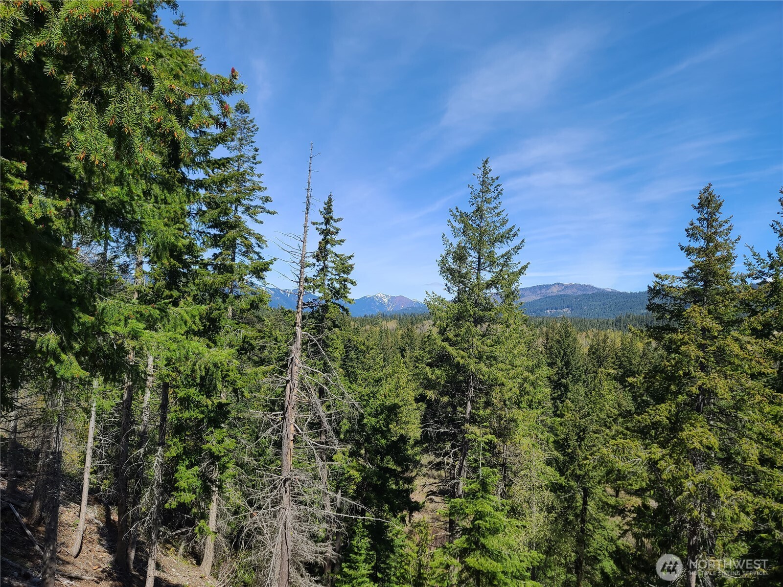 39 Gold Leaf Lane Cle Elum WA 98922