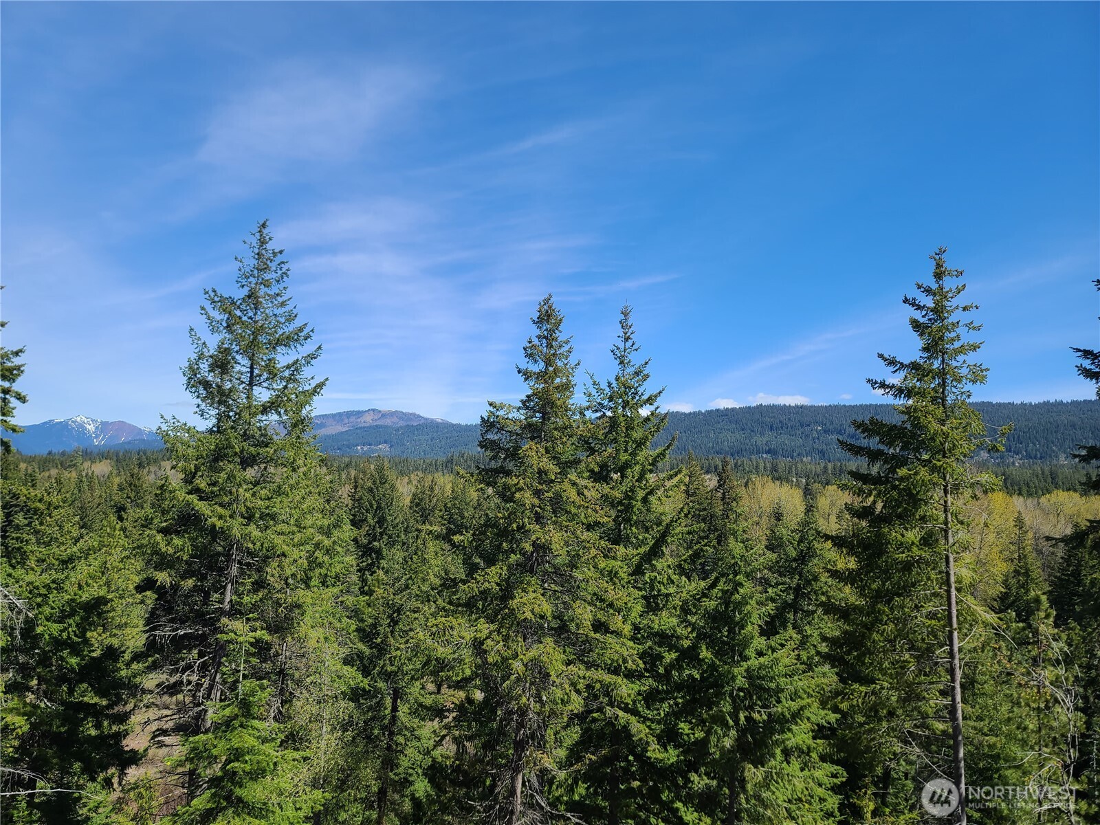 39 Gold Leaf Lane Cle Elum WA 98922