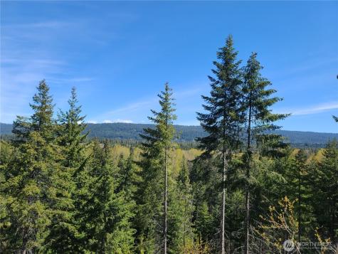 39 Gold Leaf Lane Cle Elum WA 98922