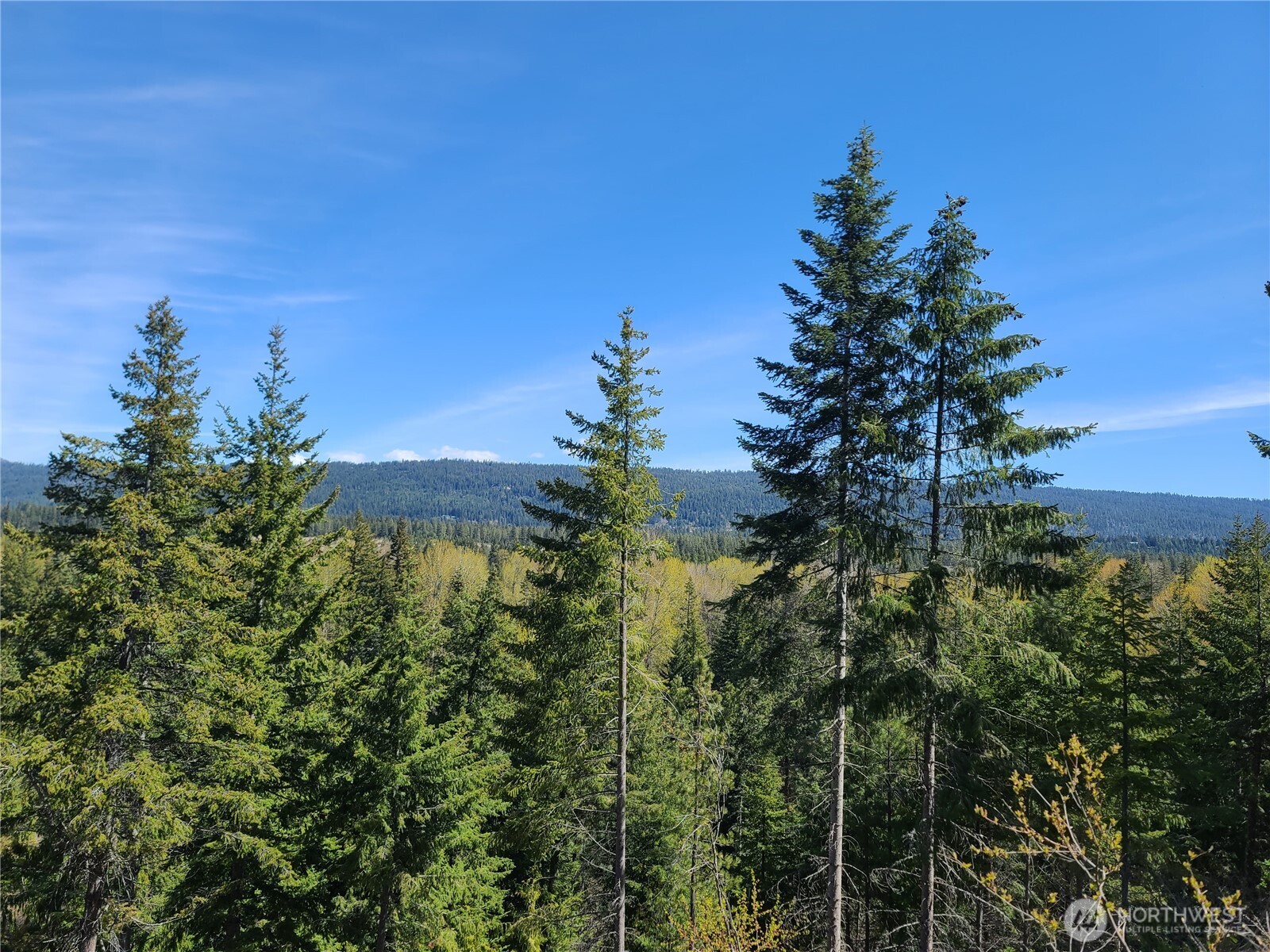 39 Gold Leaf Lane Cle Elum WA 98922