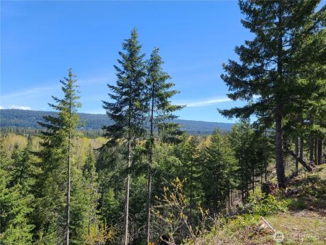 39 Gold Leaf Lane Cle Elum WA 98922