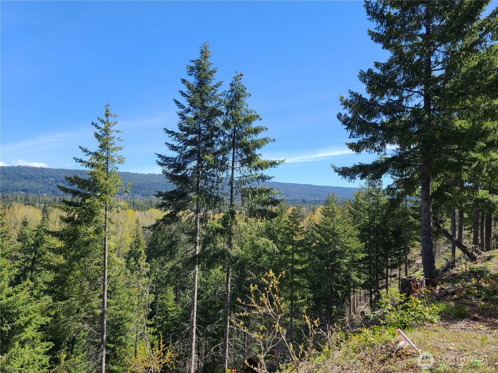 39 Gold Leaf Lane Cle Elum WA 98922