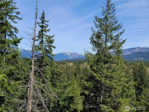 39 Gold Leaf Lane Cle Elum WA 98922