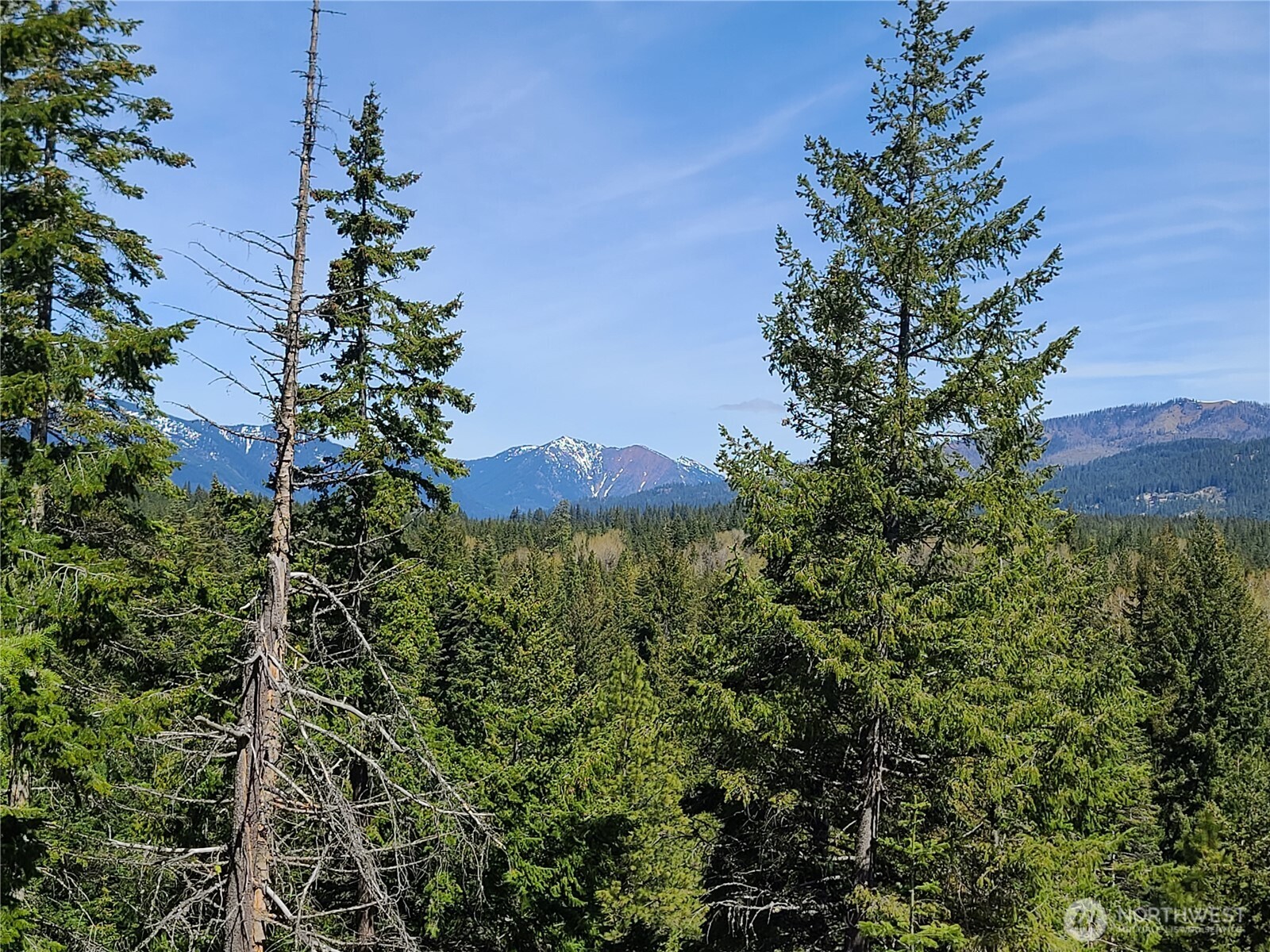 39 Gold Leaf Lane Cle Elum WA 98922