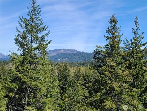 39 Gold Leaf Lane Cle Elum WA 98922