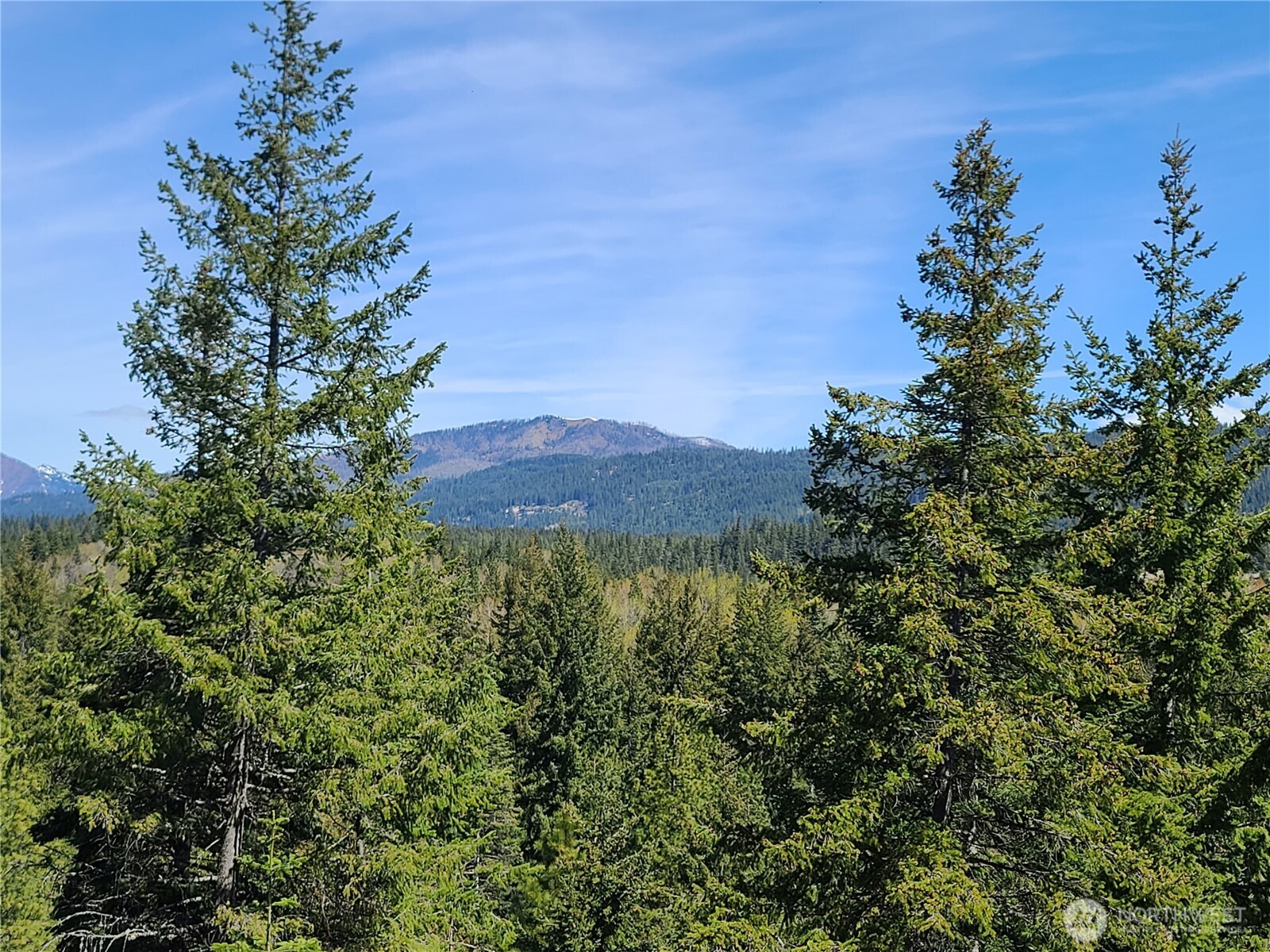 39 Gold Leaf Lane Cle Elum WA 98922