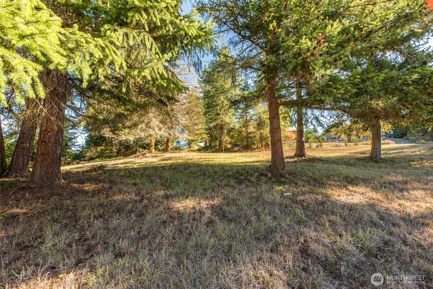 1051 Fox Hollow Road Sequim WA 98382