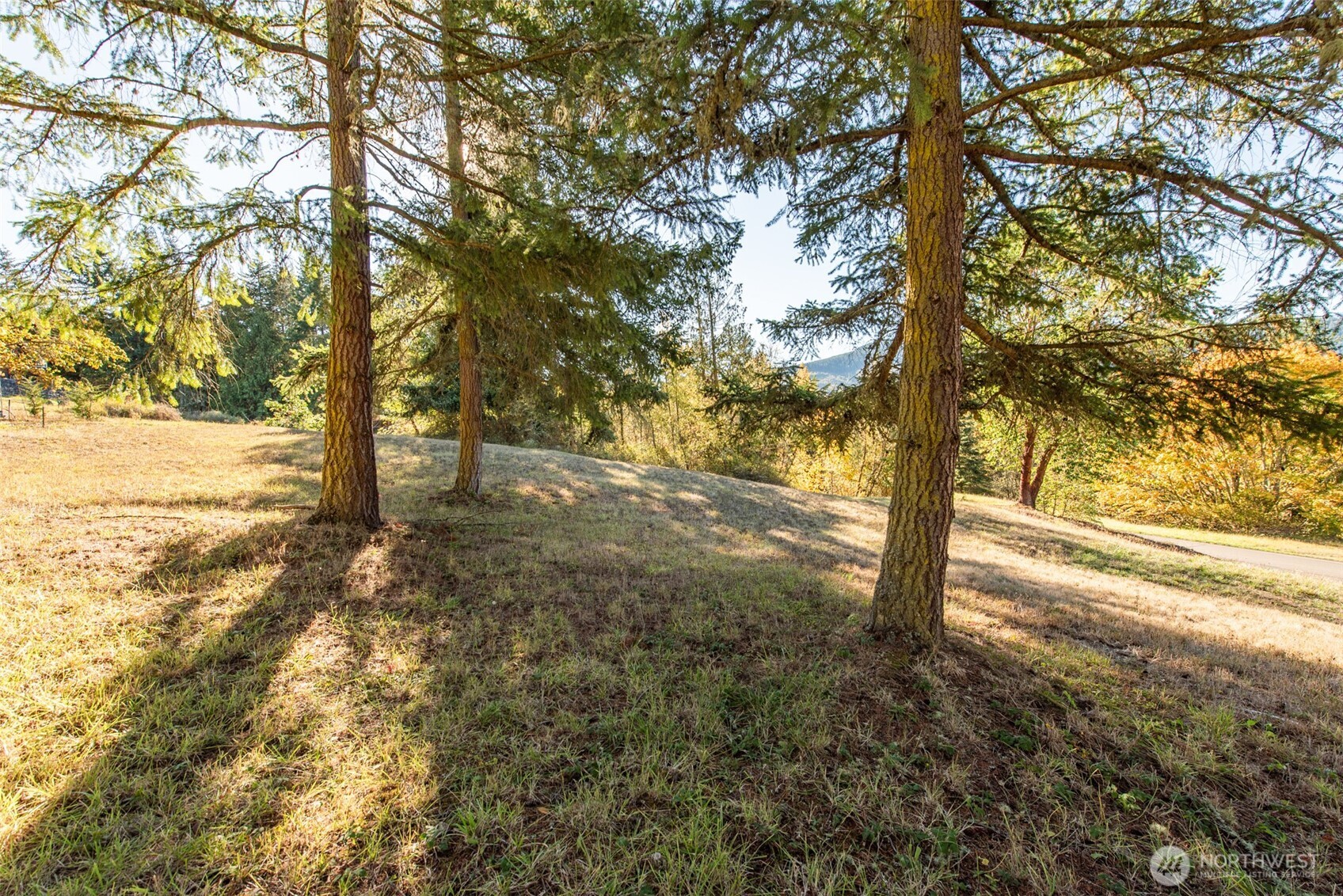 1051 Fox Hollow Road Sequim WA 98382