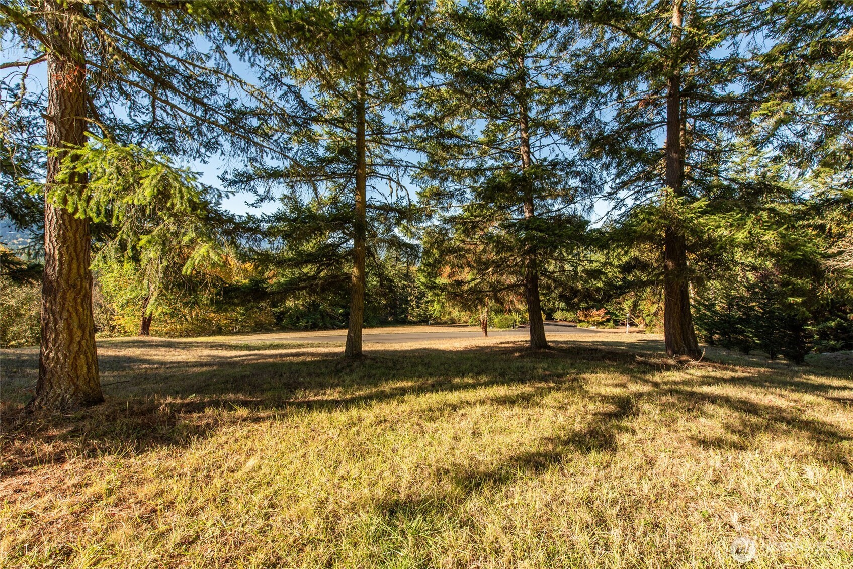 1051 Fox Hollow Road Sequim WA 98382