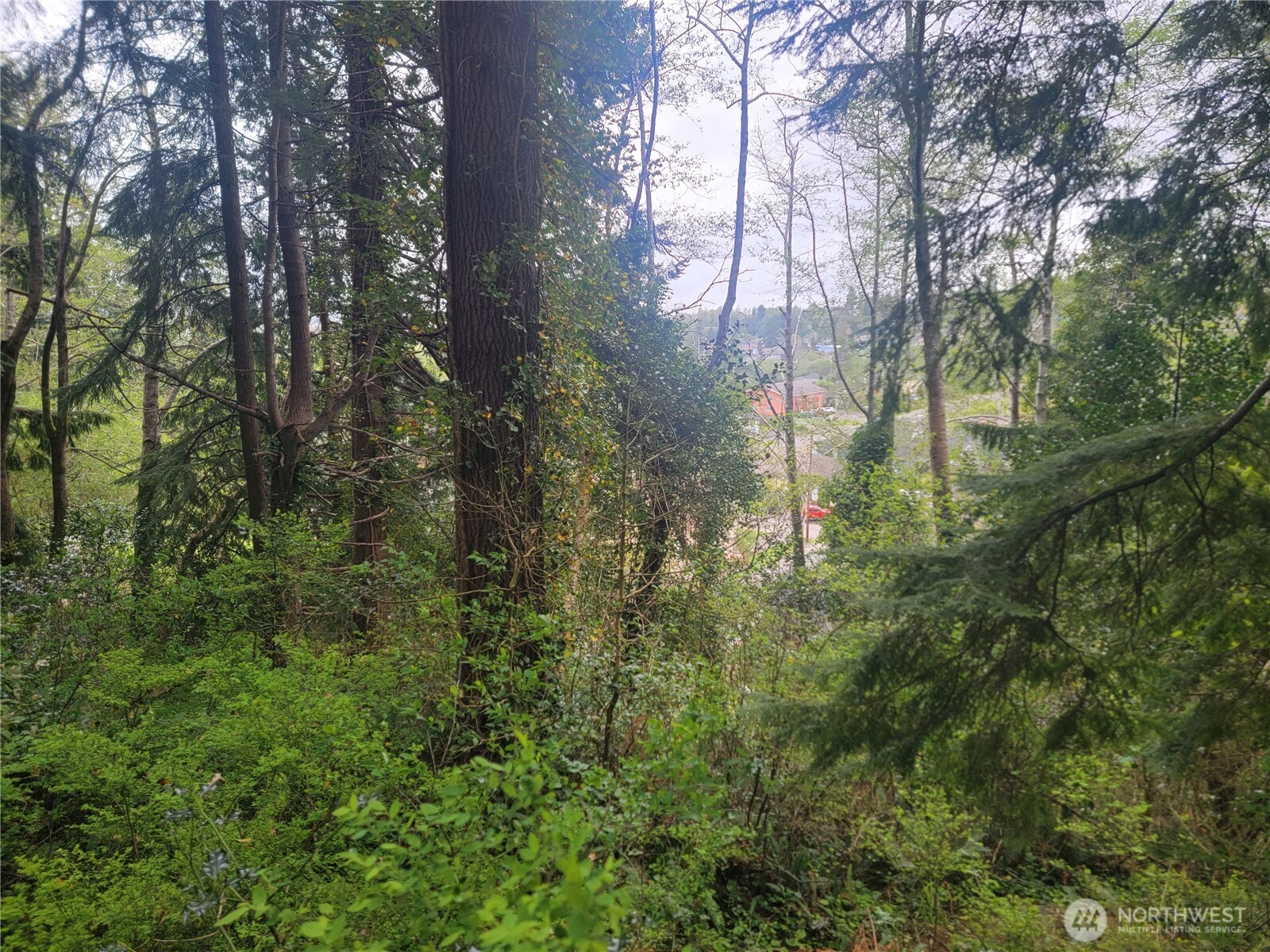 1600 Laura Street Aberdeen WA 98520