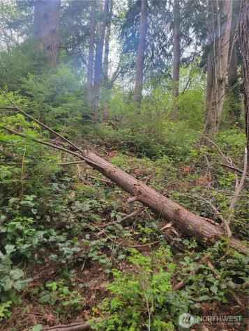 1600 Laura Street Aberdeen WA 98520