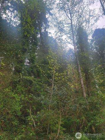1600 Laura Street Aberdeen WA 98520