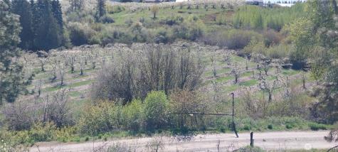 8010 Green Road Peshastin WA 98847